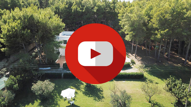 guarda il video